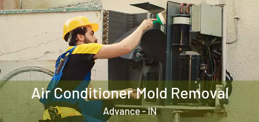  Air Conditioner Mold Removal Advance - IN