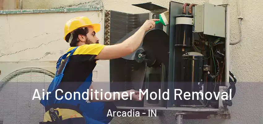  Air Conditioner Mold Removal Arcadia - IN