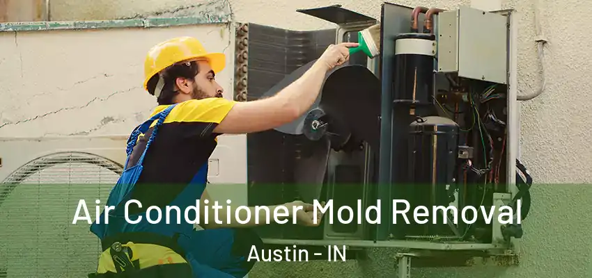  Air Conditioner Mold Removal Austin - IN