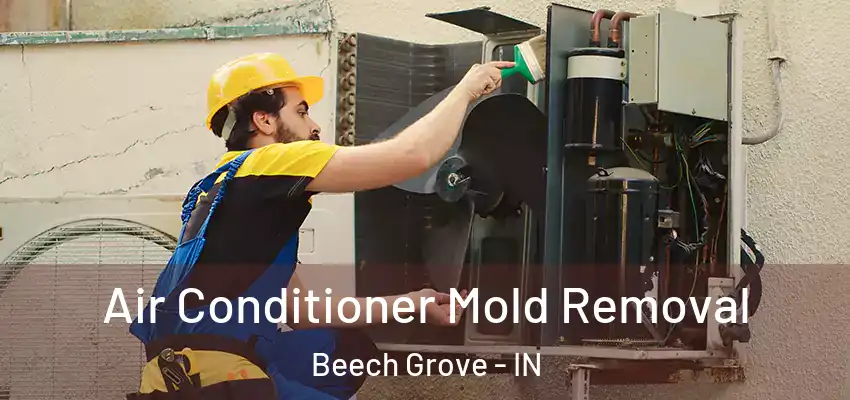 Air Conditioner Mold Removal Beech Grove - IN
