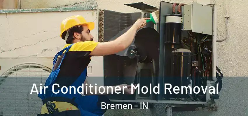  Air Conditioner Mold Removal Bremen - IN