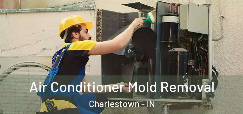  Air Conditioner Mold Removal Charlestown - IN