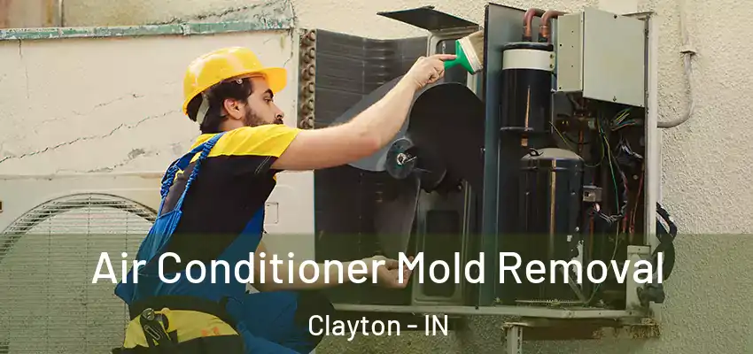 Air Conditioner Mold Removal Clayton - IN