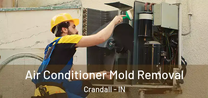Air Conditioner Mold Removal Crandall - IN