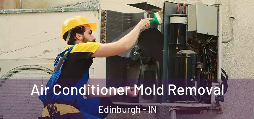 Air Conditioner Mold Removal Edinburgh - IN