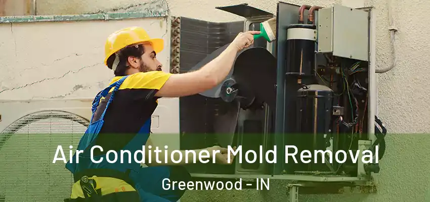  Air Conditioner Mold Removal Greenwood - IN