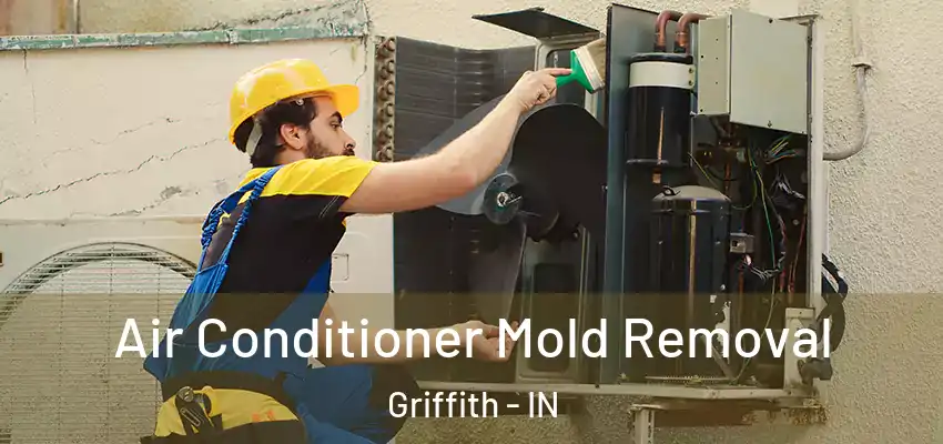  Air Conditioner Mold Removal Griffith - IN