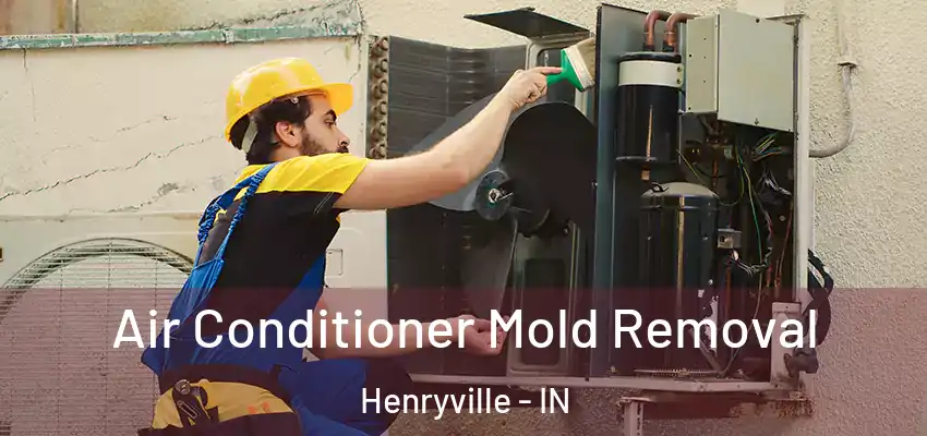  Air Conditioner Mold Removal Henryville - IN