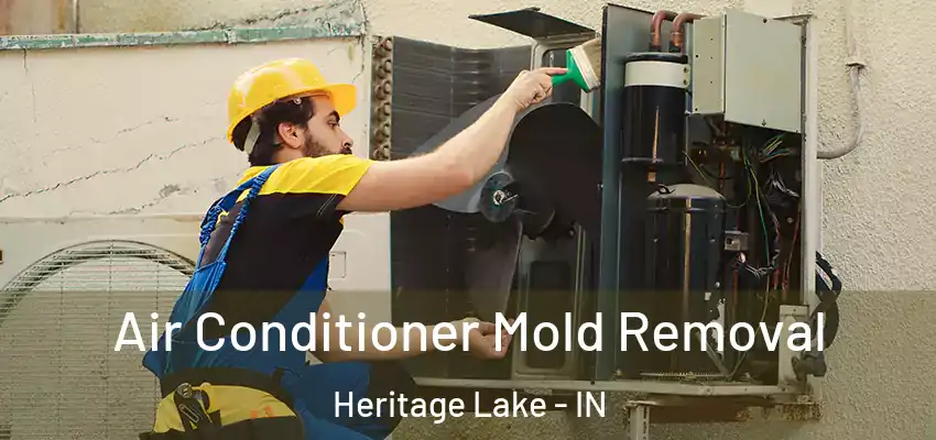  Air Conditioner Mold Removal Heritage Lake - IN