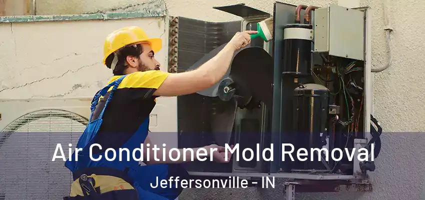  Air Conditioner Mold Removal Jeffersonville - IN