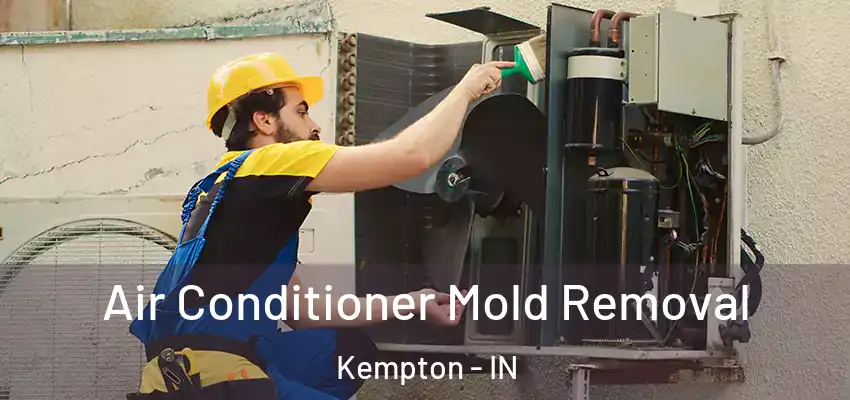 Air Conditioner Mold Removal Kempton - IN