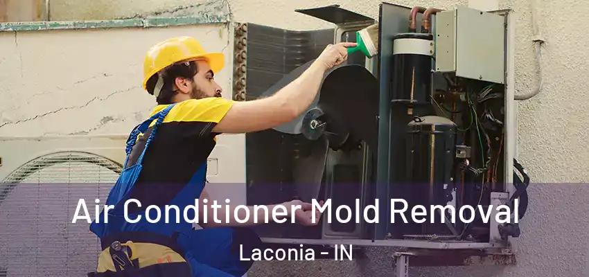  Air Conditioner Mold Removal Laconia - IN