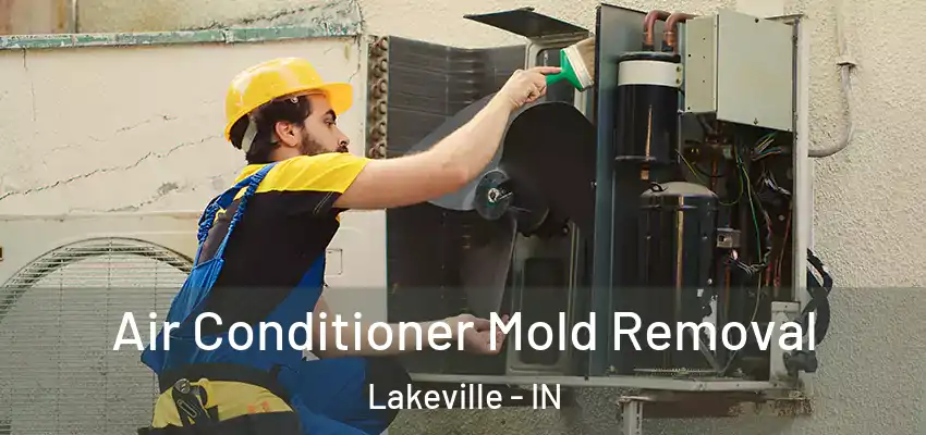  Air Conditioner Mold Removal Lakeville - IN