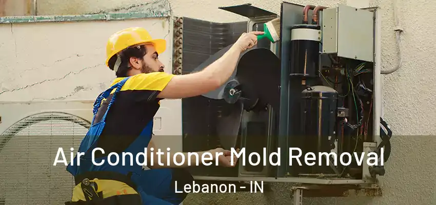  Air Conditioner Mold Removal Lebanon - IN