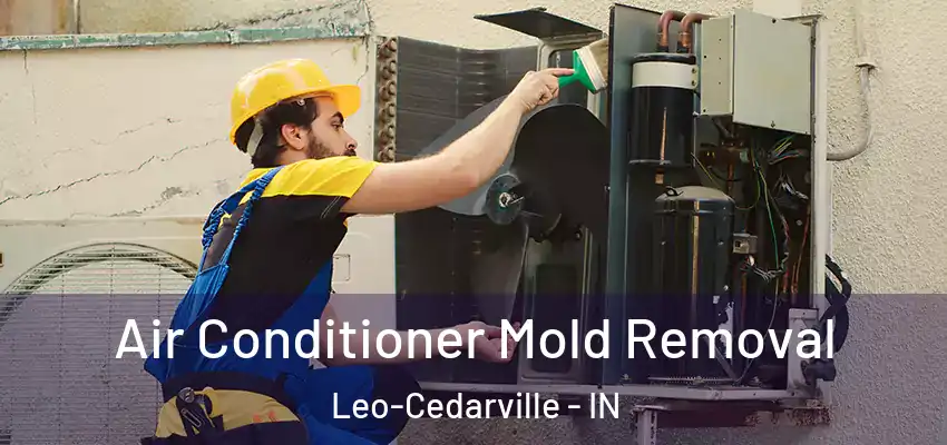 Air Conditioner Mold Removal Leo-Cedarville - IN
