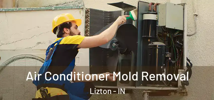  Air Conditioner Mold Removal Lizton - IN