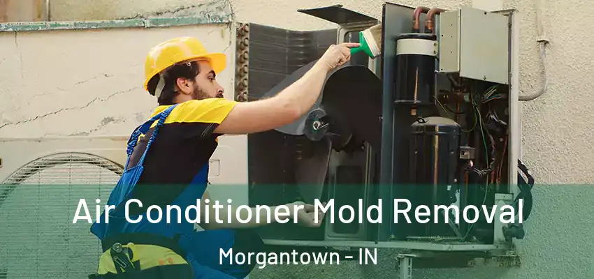  Air Conditioner Mold Removal Morgantown - IN