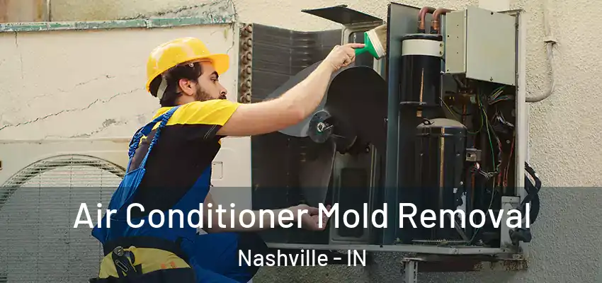  Air Conditioner Mold Removal Nashville - IN