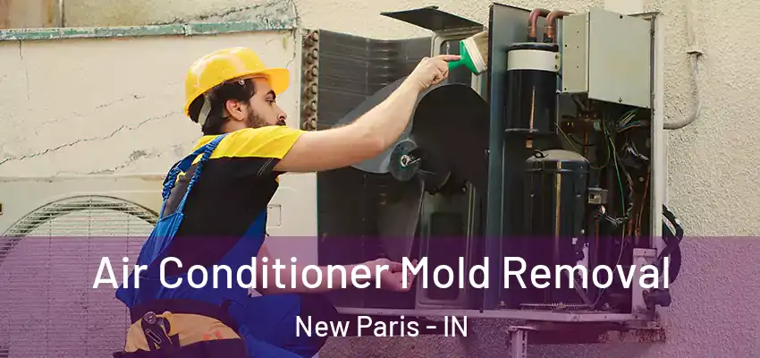  Air Conditioner Mold Removal New Paris - IN