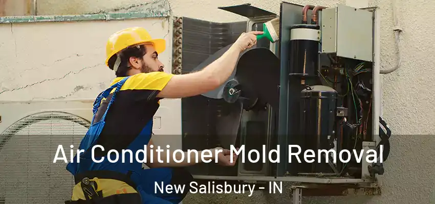  Air Conditioner Mold Removal New Salisbury - IN