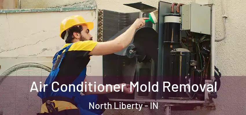 Air Conditioner Mold Removal North Liberty - IN