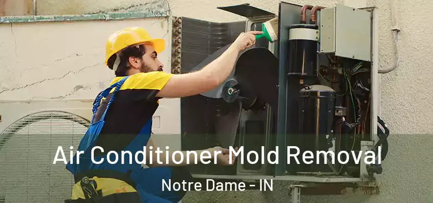  Air Conditioner Mold Removal Notre Dame - IN
