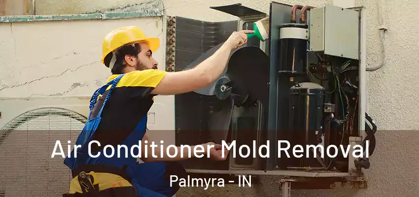  Air Conditioner Mold Removal Palmyra - IN
