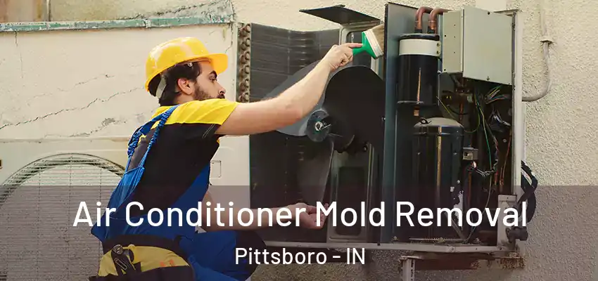  Air Conditioner Mold Removal Pittsboro - IN