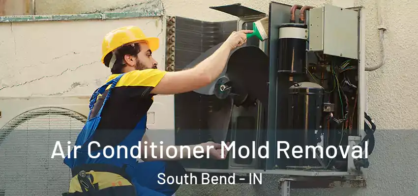  Air Conditioner Mold Removal South Bend - IN