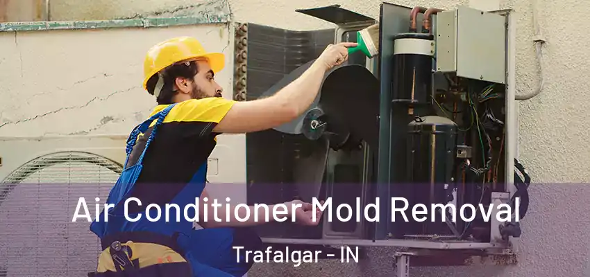  Air Conditioner Mold Removal Trafalgar - IN