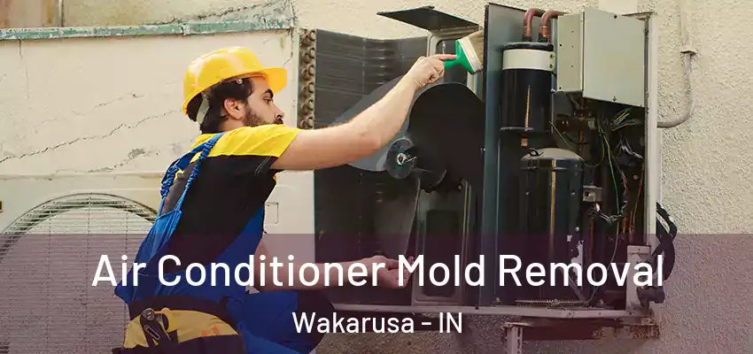  Air Conditioner Mold Removal Wakarusa - IN