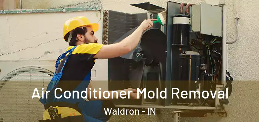  Air Conditioner Mold Removal Waldron - IN