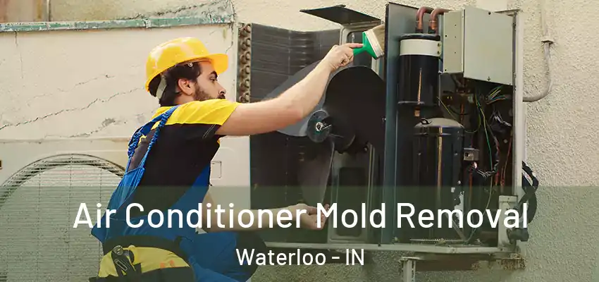  Air Conditioner Mold Removal Waterloo - IN