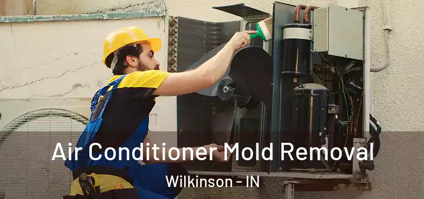  Air Conditioner Mold Removal Wilkinson - IN