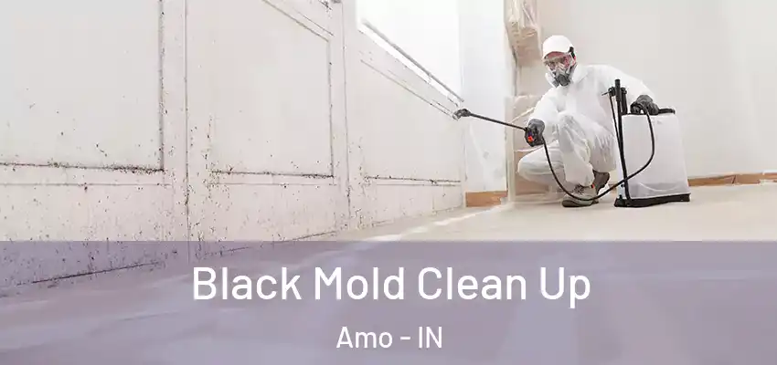  Black Mold Clean Up Amo - IN