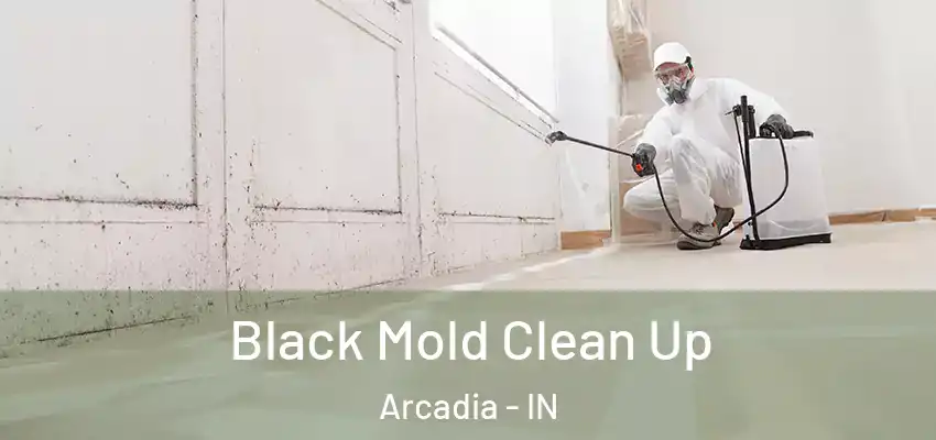  Black Mold Clean Up Arcadia - IN