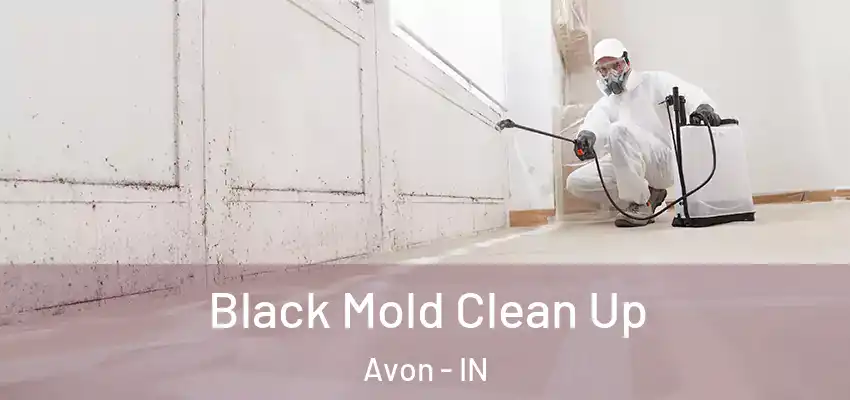 Black Mold Clean Up Avon - IN