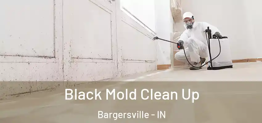  Black Mold Clean Up Bargersville - IN