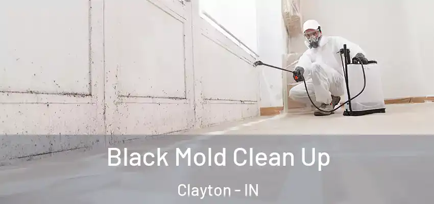 Black Mold Clean Up Clayton - IN