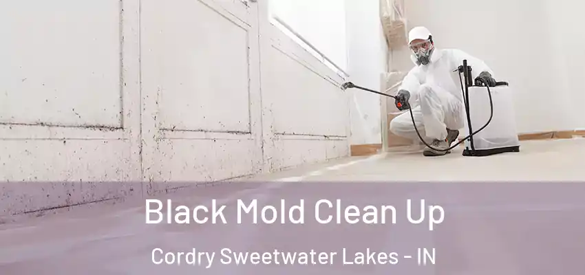Black Mold Clean Up Cordry Sweetwater Lakes - IN