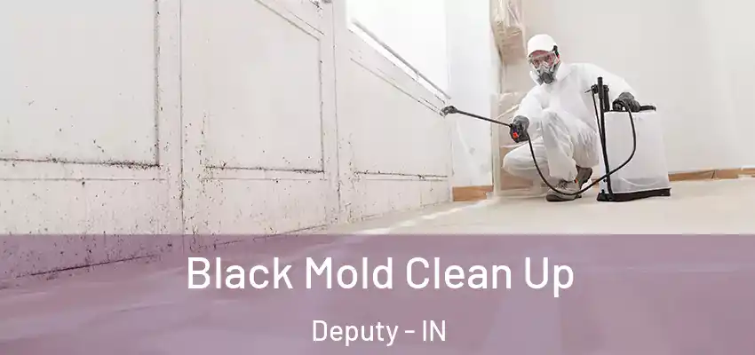  Black Mold Clean Up Deputy - IN