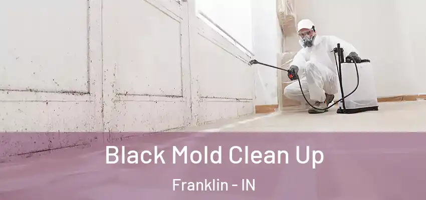  Black Mold Clean Up Franklin - IN
