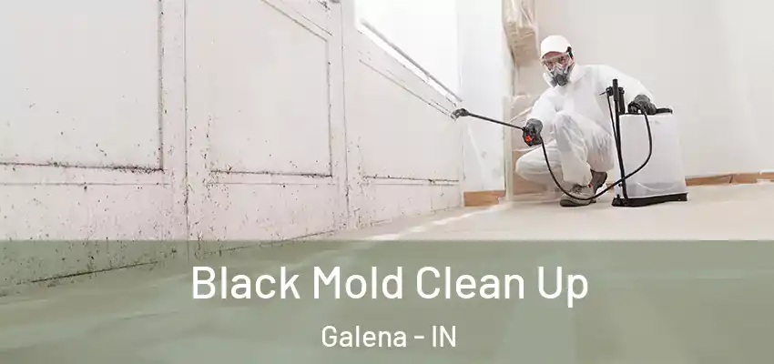  Black Mold Clean Up Galena - IN