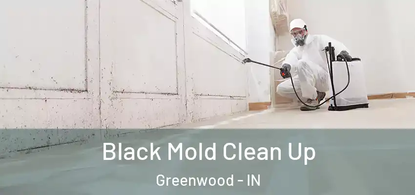  Black Mold Clean Up Greenwood - IN