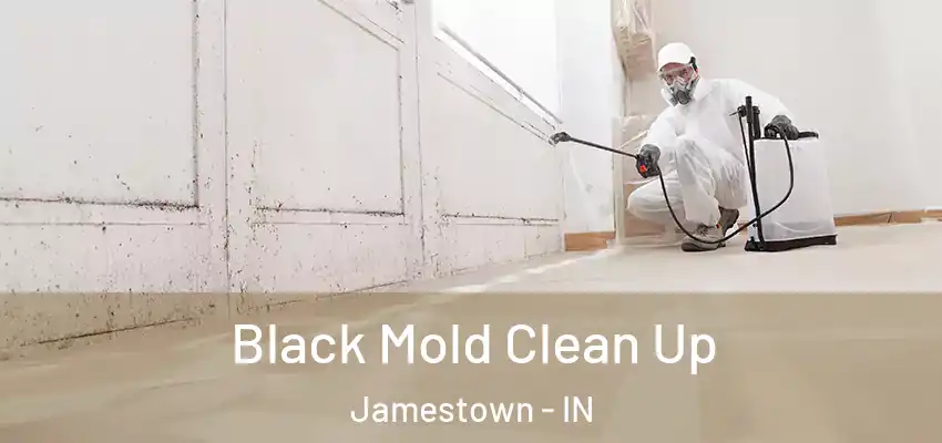  Black Mold Clean Up Jamestown - IN