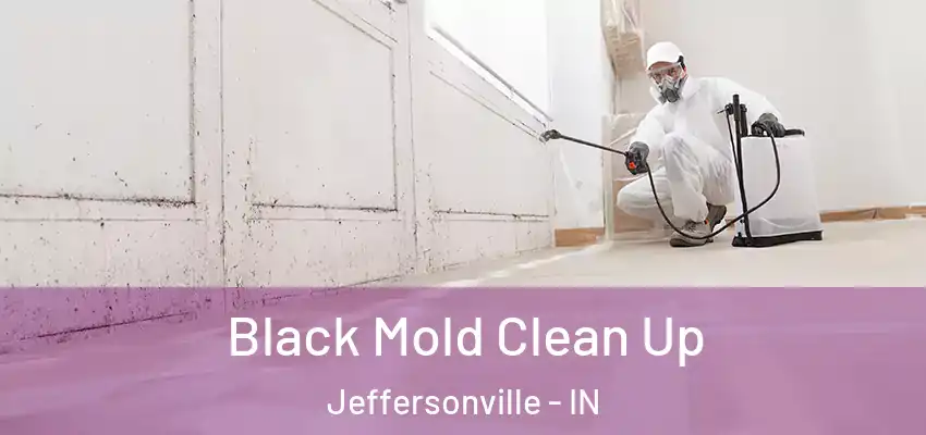  Black Mold Clean Up Jeffersonville - IN