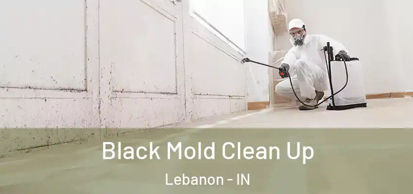  Black Mold Clean Up Lebanon - IN
