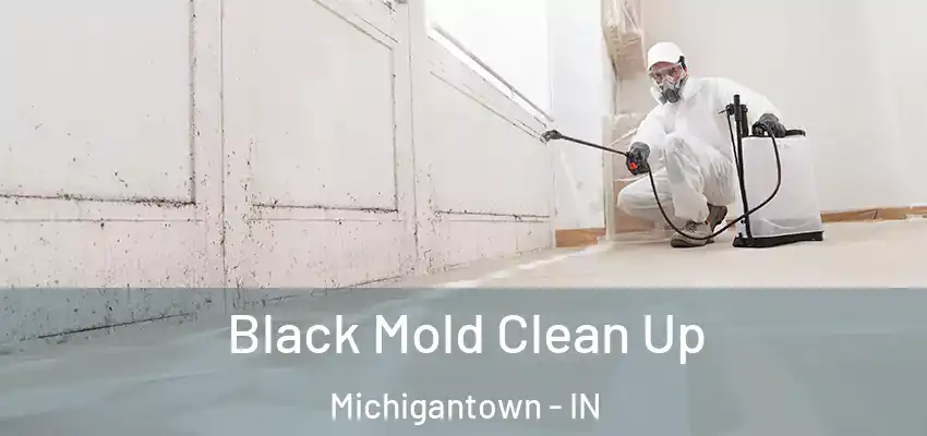Black Mold Clean Up Michigantown - IN
