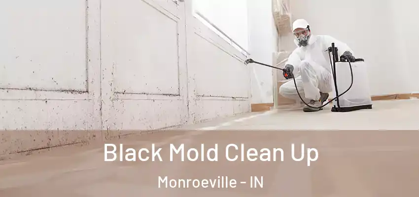  Black Mold Clean Up Monroeville - IN