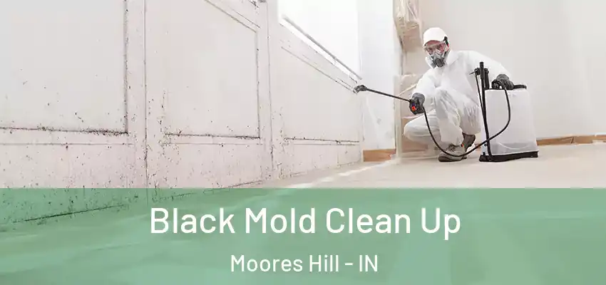  Black Mold Clean Up Moores Hill - IN